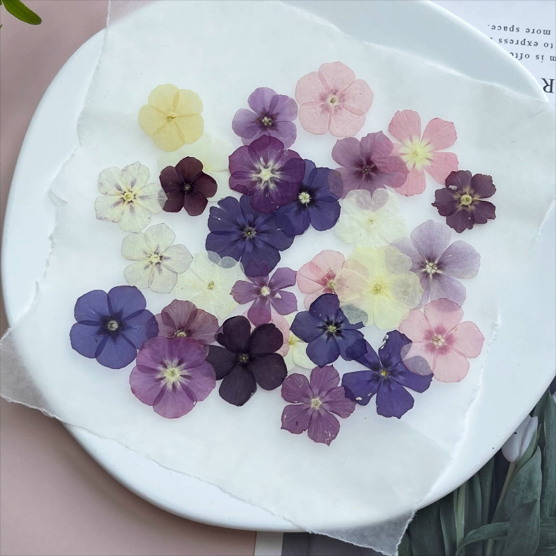 12pcs,Semi-Transparent Niche P - đánh giá và giá Resin Art Phone Case